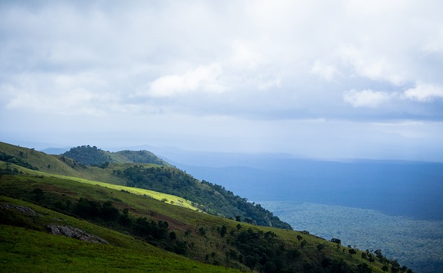 了消费者的 了消费者的