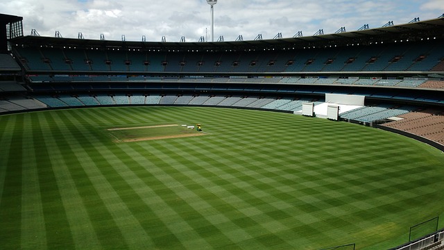 面上飞驰 面上飞驰