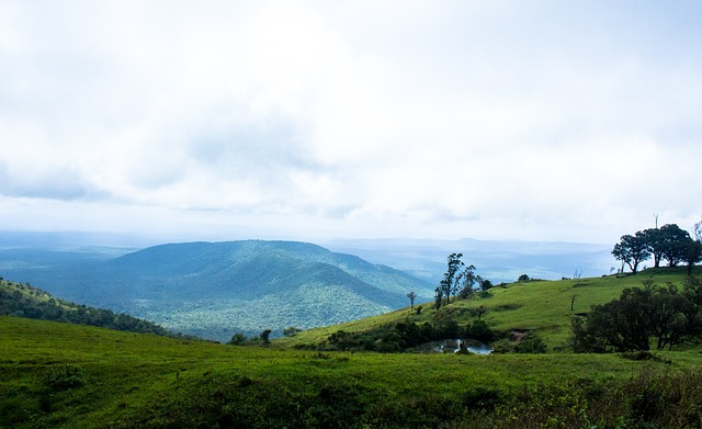 仅是对现有 仅是对现有