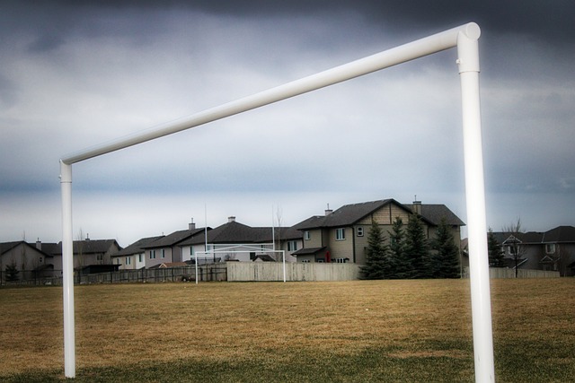 通过种植适 通过种植适