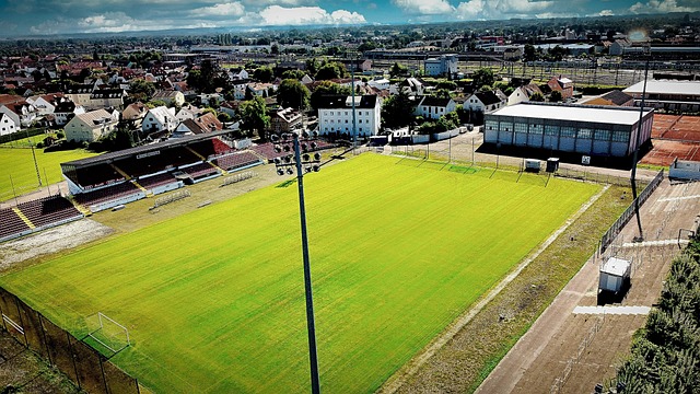 对阵太阳的 对阵太阳的