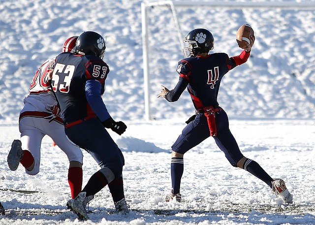 肃的裁判会 肃的裁判会