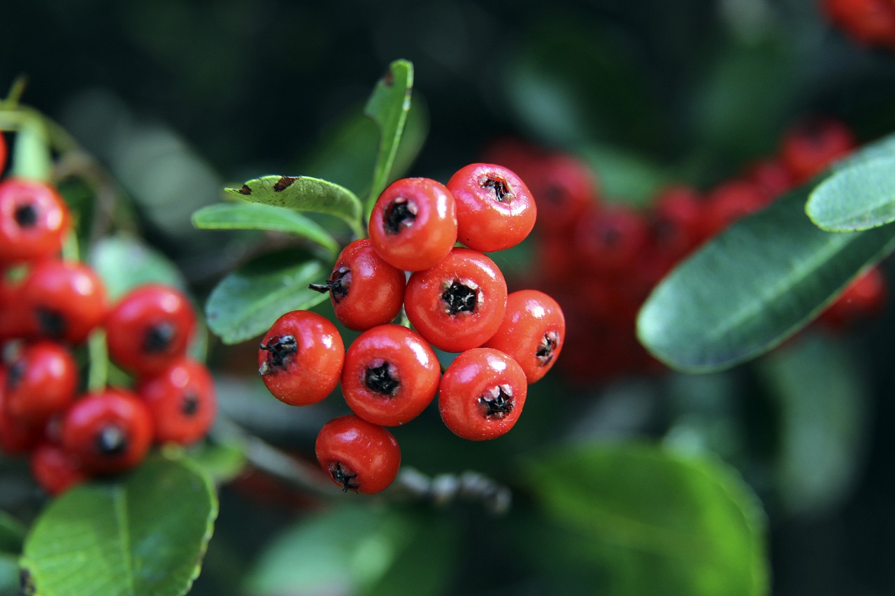 身体对抗可 身体对抗可