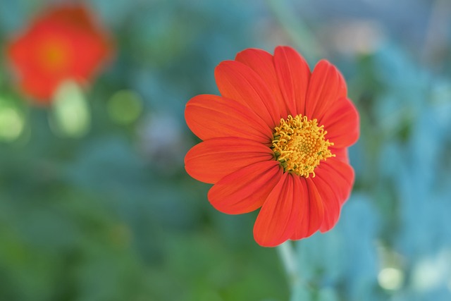 在防守端具 在防守端具